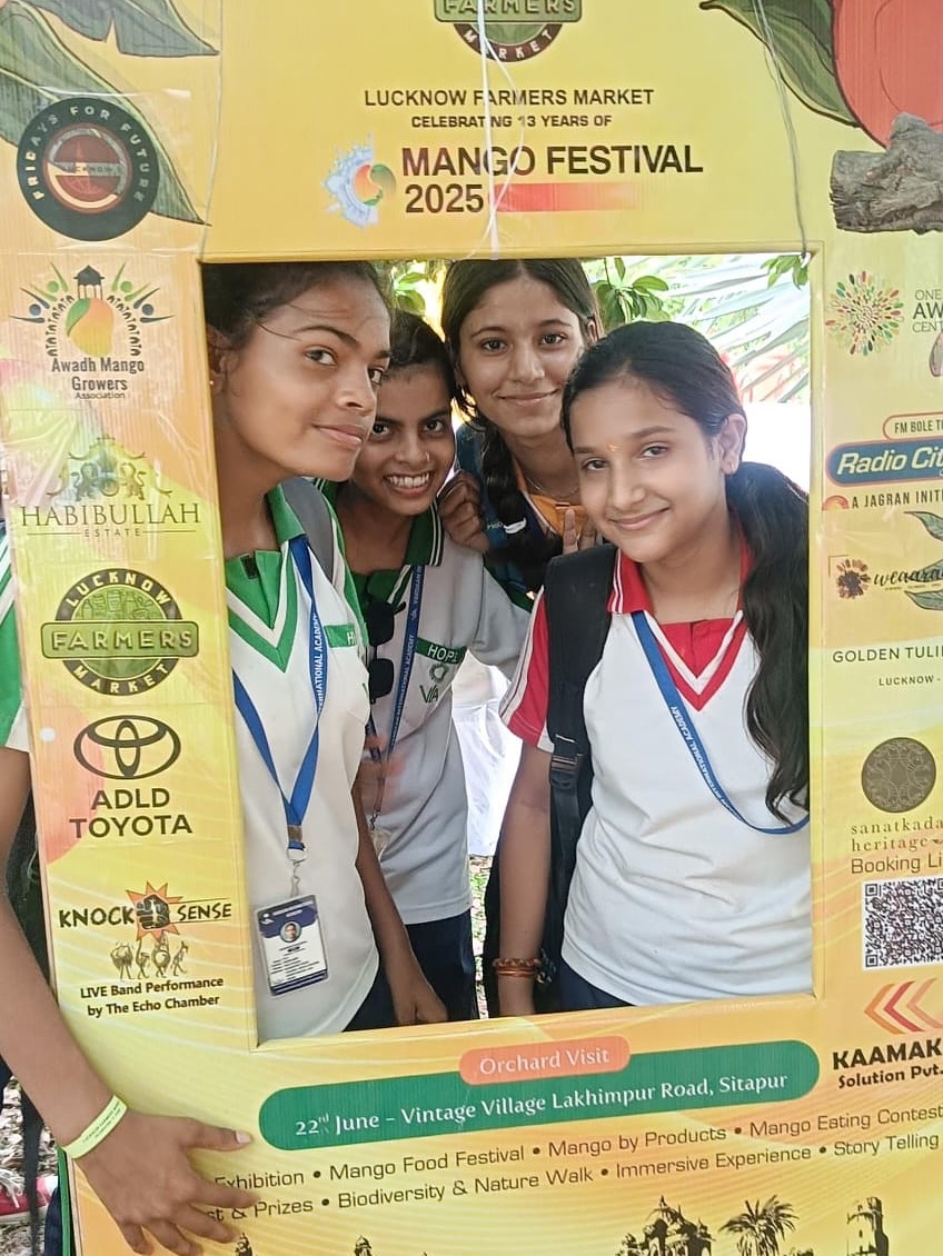 MANGO FEST